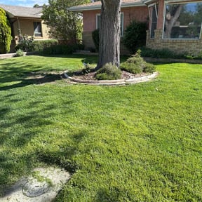 turf care by Lucero’s Landscaping reviewed on June 20, 2025