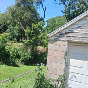 Bush Trimming by Quion's Multi Service reviewed on July 2, 2026