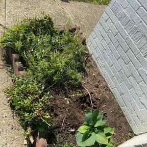 Flower Bed Weeding by Simpkin Lawn Care reviewed on May 12, 2026