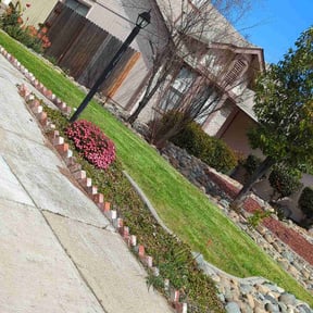 lawn care by Almost Perfect lawncare reviewed on April 1, 2024