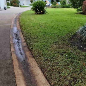 Leaf Removal by Ozy Lawn Care and Landscaping reviewed on September 28, 2025