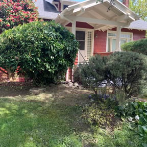 Bush Trimming by Murphy's Lawn Service reviewed on August 18, 2025
