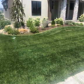 landscaping by R&B Lawn care 470-219-3185. reviewed on August 18, 2025