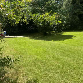 yard service by Go green landscaping reviewed on January 17, 2026