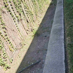 grass cutting by Stand lawn care Services reviewed on April 20, 2024