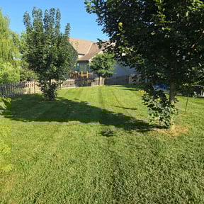 lawn care services by American Home Pros LLC reviewed on August 21, 2025