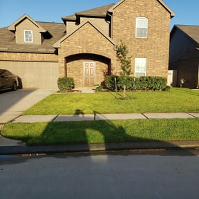 Bush Trimming by Andrew James Property Maintenance reviewed on August 18, 2025