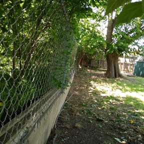 Bush Trimming by 66landscaping LLC reviewed on August 15, 2025