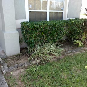 Bush Trimming by Precious Gardens reviewed on August 16, 2025