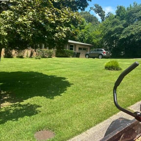 turf care by Royal Scenery LLC reviewed on April 7, 2024
