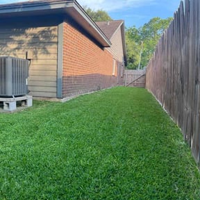 grass maintenance by Texas landscaping reviewed on August 7, 2025