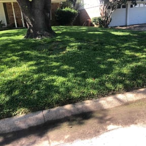 Leaf Removal by Lawn Bros reviewed on May 27, 2022