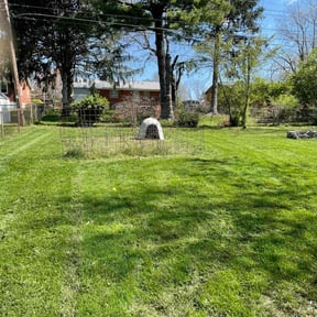 landscaping services by Amie's Clean Cut Lawns and More reviewed on August 20, 2025