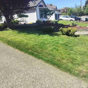 Other by Lawn Guys reviewed on August 21, 2025