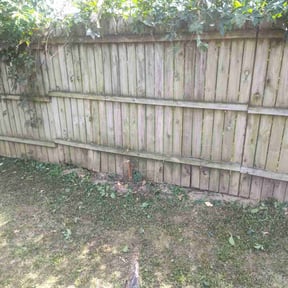 Bush Trimming by Cliffs lawn and more reviewed on November 22, 2025