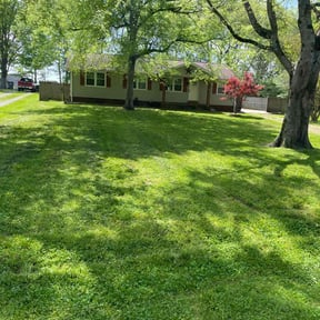 turf maintenance by Saints Lawn &amp; Land reviewed on August 21, 2025