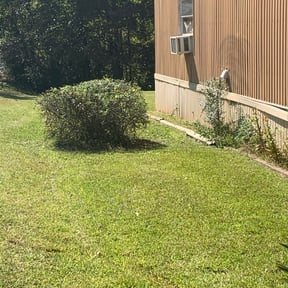 Bush Trimming by GT Luxury Lawn... reviewed on August 16, 2025