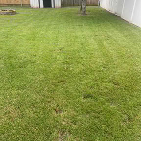 gardening service by Catlin's Lawn Care reviewed on August 20, 2025