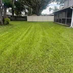 yard care by Mercy and grace Detail Lawn &Landscaping Design reviewed on August 17, 2025