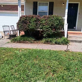 Bush Trimming by C.A.G Lawncare reviewed on May 8, 2024