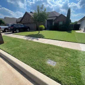 Long Grass Cleanup by BabyGirls Mow reviewed on August 15, 2025