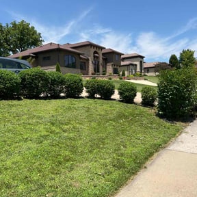 Bush Trimming by Florida LawnScapers LLC reviewed on August 18, 2025