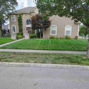 landscape maintenance by Davis Lawn Care Services LLC reviewed on August 21, 2025