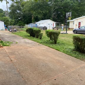 Bush Trimming by Rivera landscaping reviewed on August 20, 2025