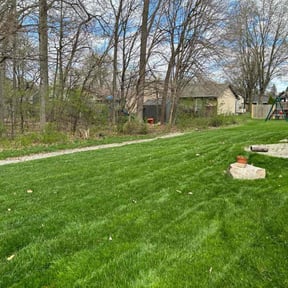 yard service by J&S LAWN CARE AND DEBRIS REMOVAL reviewed on August 16, 2025
