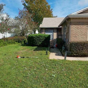 Bush Trimming by Furia Global LLC reviewed on October 21, 2025