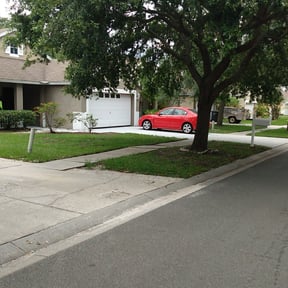 Bush Trimming by 4C's Lawn Care LLC reviewed on August 21, 2025