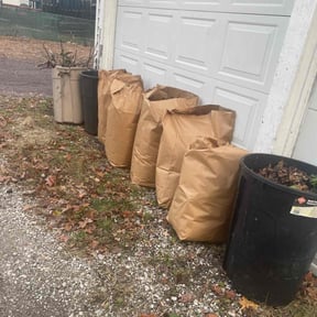 Leaf Removal by Jeff Sidener reviewed on November 5, 2025