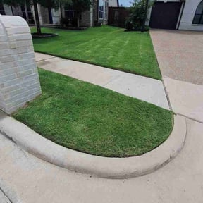 yard maintenance by T F Lawn Care Services reviewed on August 16, 2025