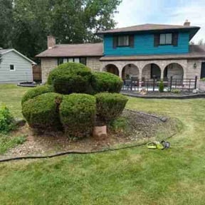 Bush Trimming by C Holzinger Construction reviewed on August 16, 2025