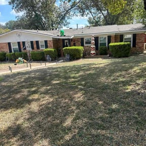 Bush Trimming by Cut-a-Lot_Yardcare reviewed on November 18, 2025