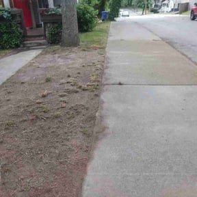 Leaf Removal by Just us landscaping LLC reviewed on August 15, 2025