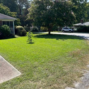yard work by TKW lawn maintenance reviewed on August 19, 2025