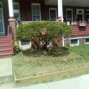 Bush Trimming by Jaks lawncare reviewed on August 15, 2025