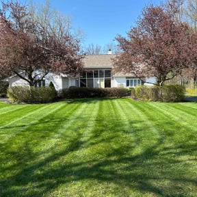 yard service by Cary's Landscaping and Snow Removal reviewed on August 20, 2025