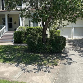 Bush Trimming by GB lawn service reviewed on August 16, 2025