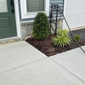 Bush Trimming by Kyle Mowing reviewed on May 28, 2026