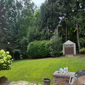 grass maintenance by Fosterslawn and aeration LLC reviewed on August 20, 2025