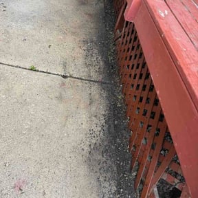 Leaf Removal by Creative Solutions reviewed on June 11, 2026