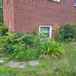 Bush Trimming by Jose lawn Care reviewed on May 22, 2026