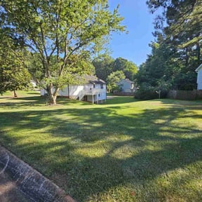 yard maintenance by M &amp; F Landscaping Services LLC reviewed on January 28, 2026