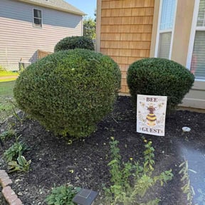 Bush Trimming by Green World reviewed on October 18, 2025