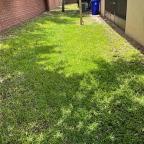 yard work by Shane lawn care make over reviewed on August 15, 2025