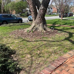 Leaf Removal by Nathan's lawn and landscaping llc reviewed on March 28, 2026