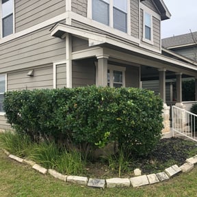 Bush Trimming by Coram landscaping reviewed on August 17, 2025