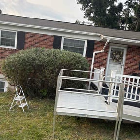 Bush Trimming by Anything Lawn reviewed on August 2, 2026